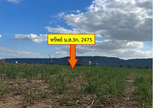 รูปที่ดินว่างเปล่า กุงเก่า ท่าคันโท กาฬสินธุ์