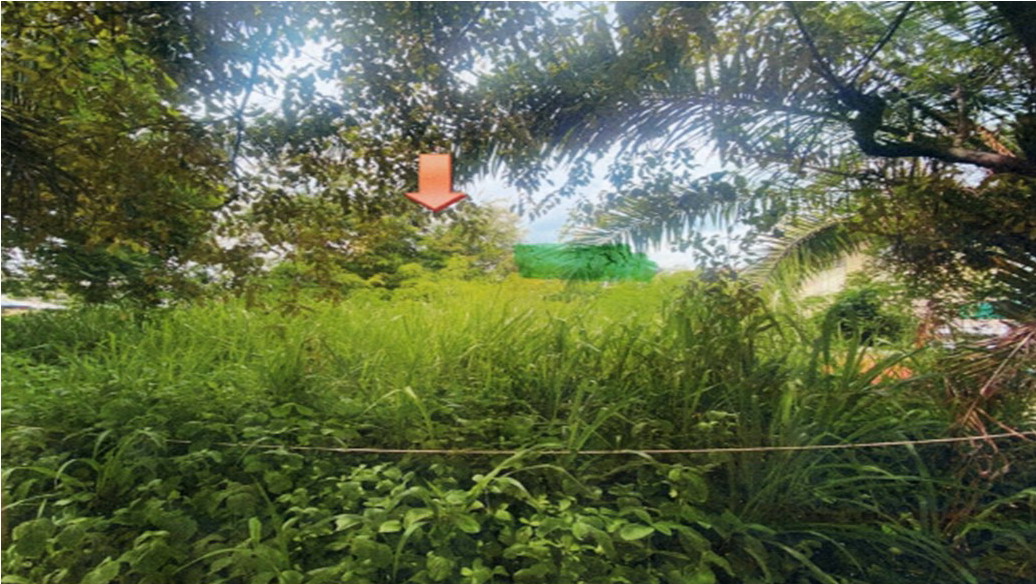รูปที่ดินว่างเปล่า ในเมือง เมืองขอนแก่น ขอนแก่น