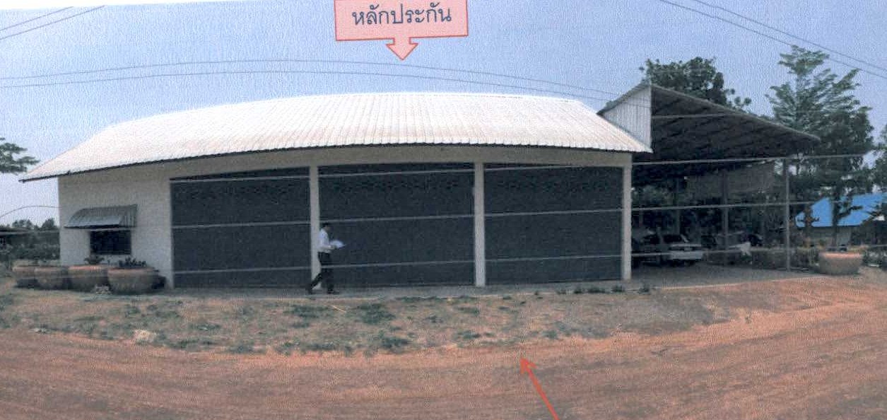 รูปที่ดินพร้อมสิ่งปลูกสร้าง สมเด็จ สมเด็จ กาฬสินธุ์