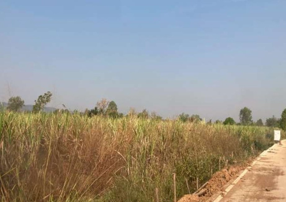 รูปที่ดินว่างเปล่า ศรีสุขสำราญ อุบลรัตน์ ขอนแก่น