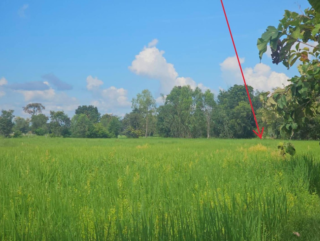 รูปที่ดินว่างเปล่า ดงเมือง ยางสีสุราช มหาสารคาม