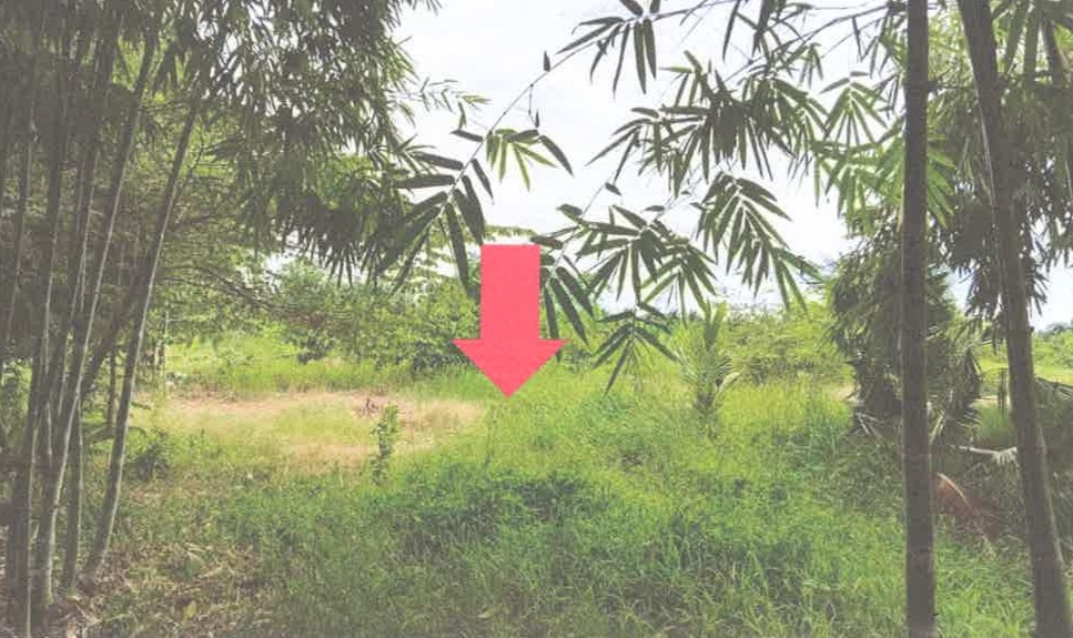 รูปที่ดินว่างเปล่า บึงกาสาม หนองเสือ ปทุมธานี