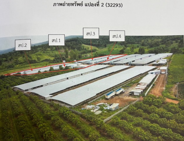 รูปที่ดินพร้อมสิ่งปลูกสร้าง หินลาด วัดโบสถ์ พิษณุโลก