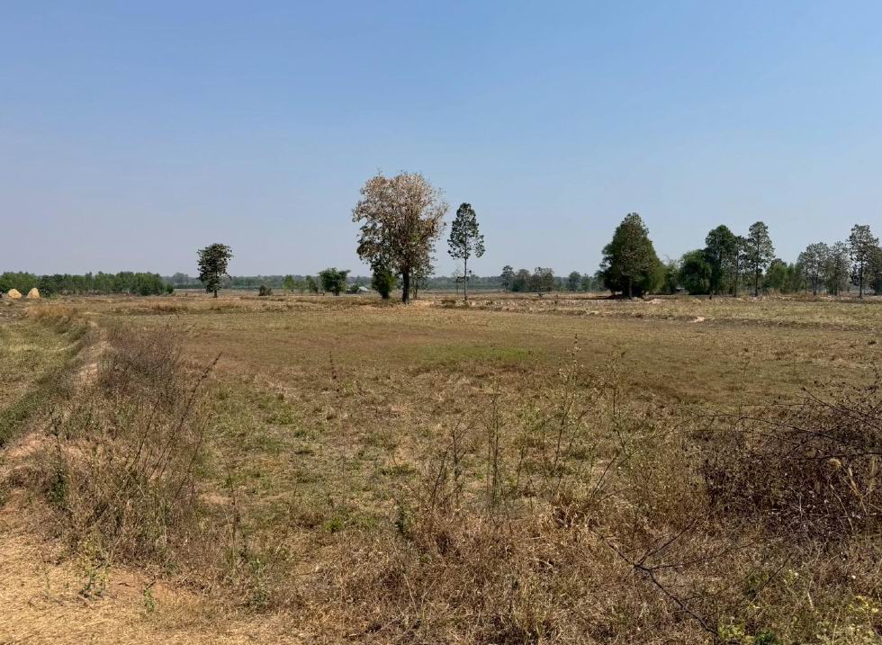 รูปที่ดินว่างเปล่า หนองบัว พยัคฆภูมิพิสัย มหาสารคาม