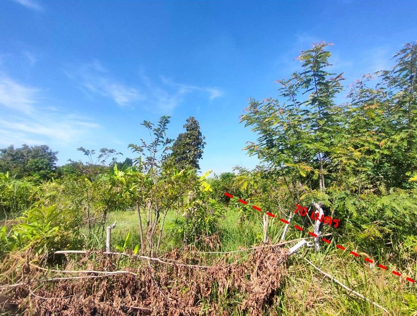 รูปที่ดินว่างเปล่า หนองบัว บ้านฝาง ขอนแก่น