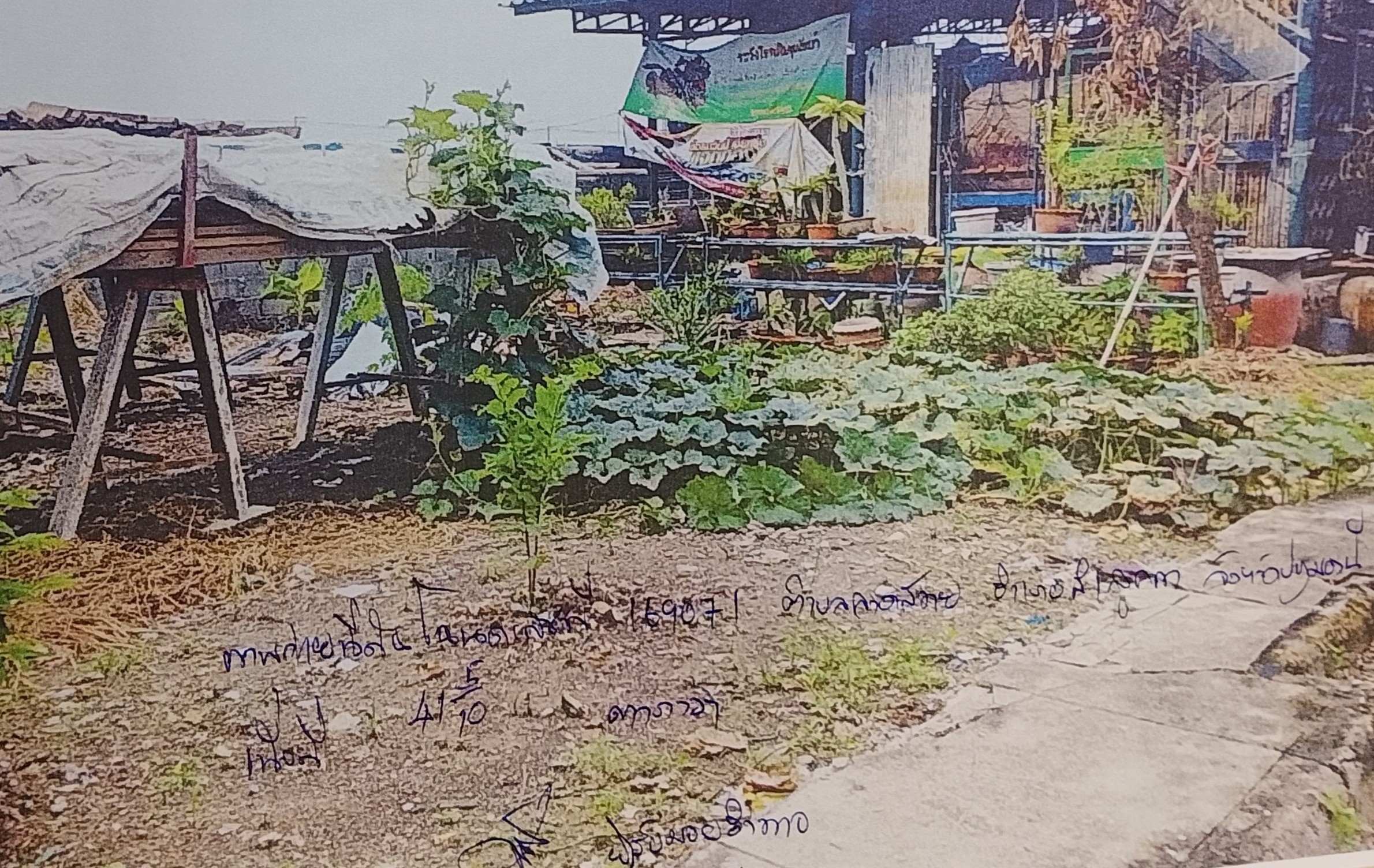 รูปที่ดินว่างเปล่า ลาดสวาย ลำลูกกา ปทุมธานี