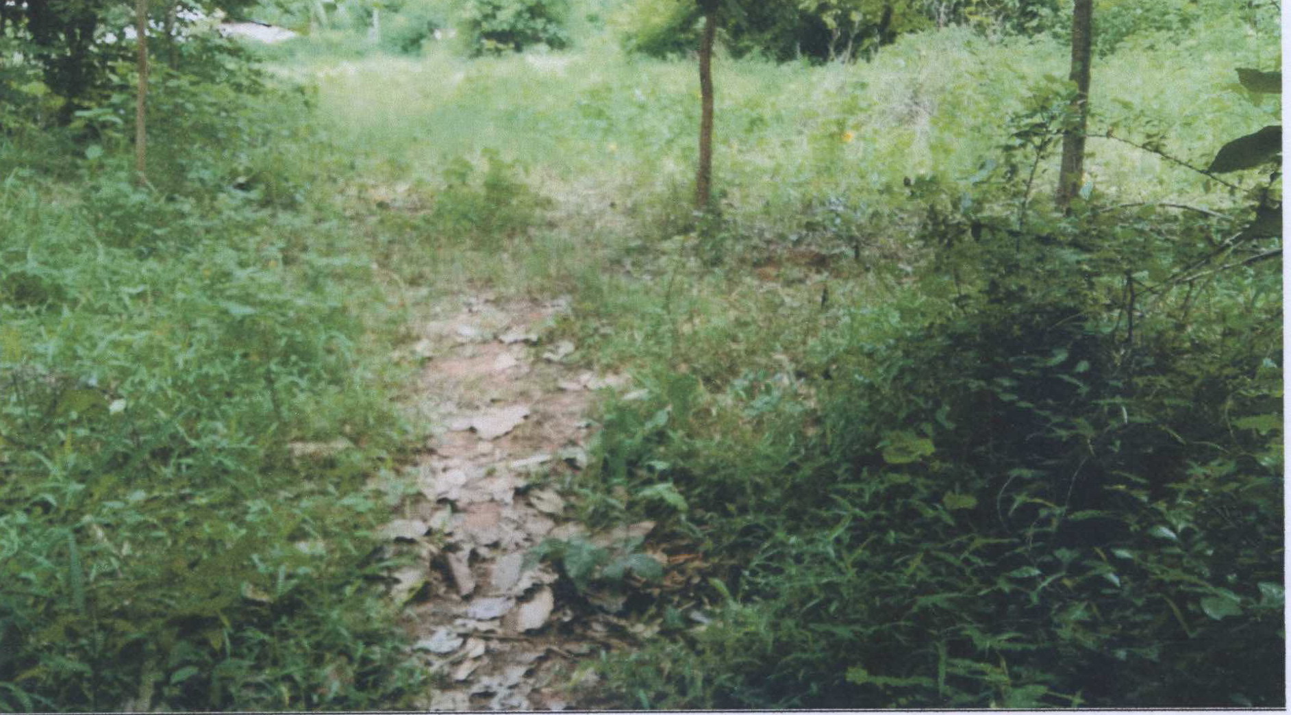 รูปที่ดินว่างเปล่า กาฬสินธุ์ เมืองกาฬสินธุ์ กาฬสินธุ์