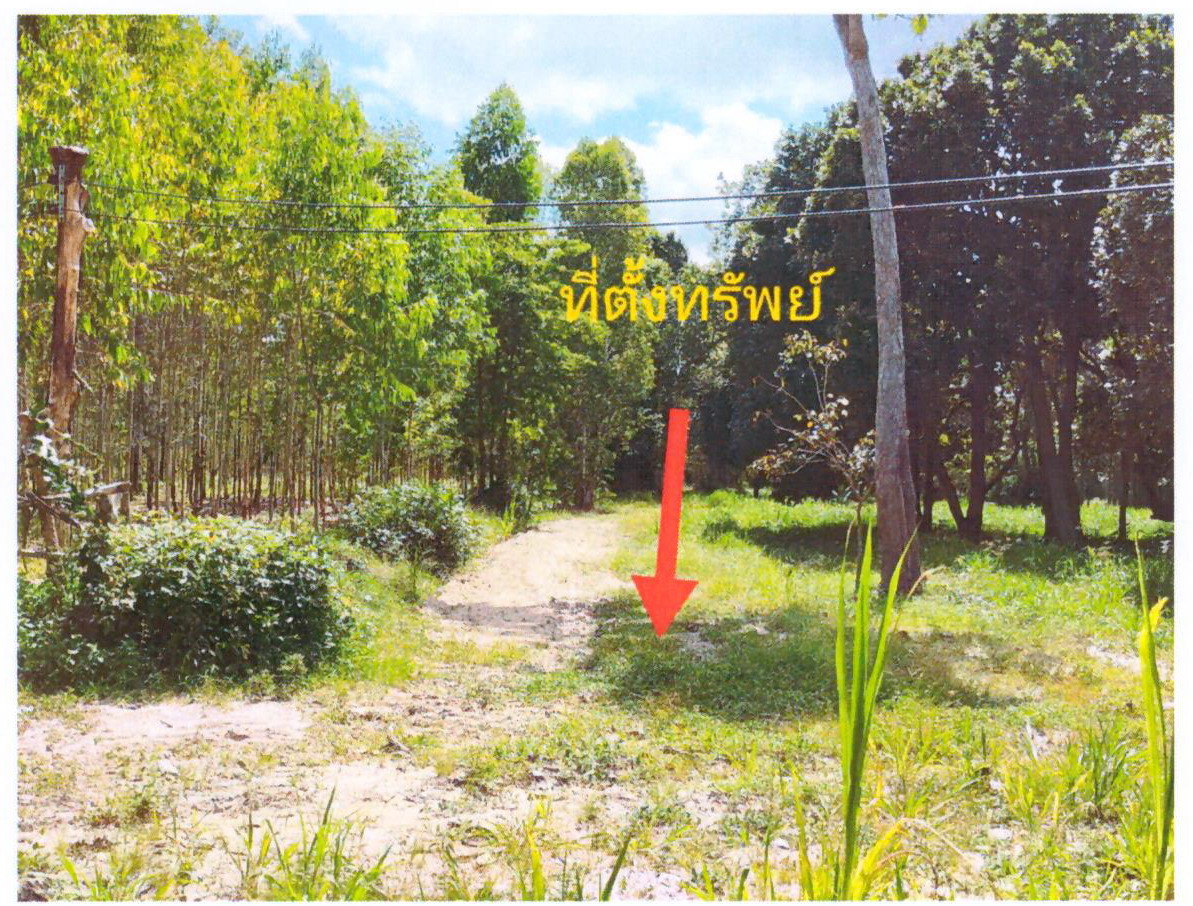 รูปที่ดินว่างเปล่า วังสามัคคี โพนทอง ร้อยเอ็ด