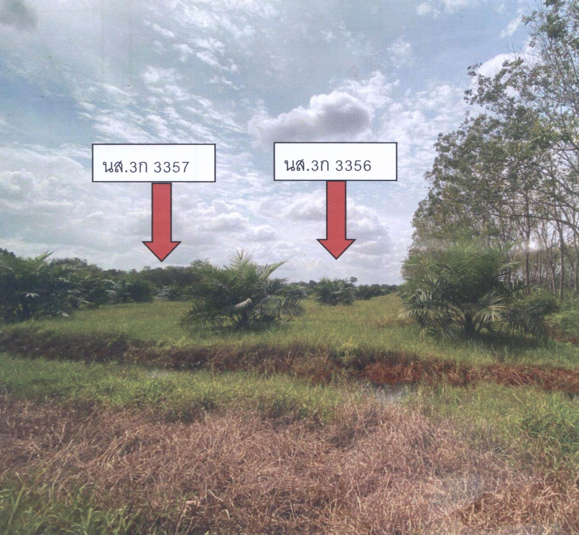 รูปที่ดินว่างเปล่า ท่าช้าง บางกล่ำ สงขลา