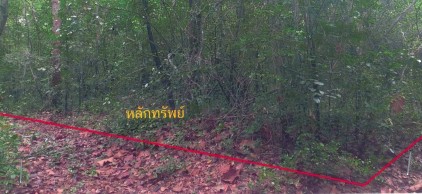 รูปที่ดินว่างเปล่า ตระการ ตระการพืชผล อุบลราชธานี