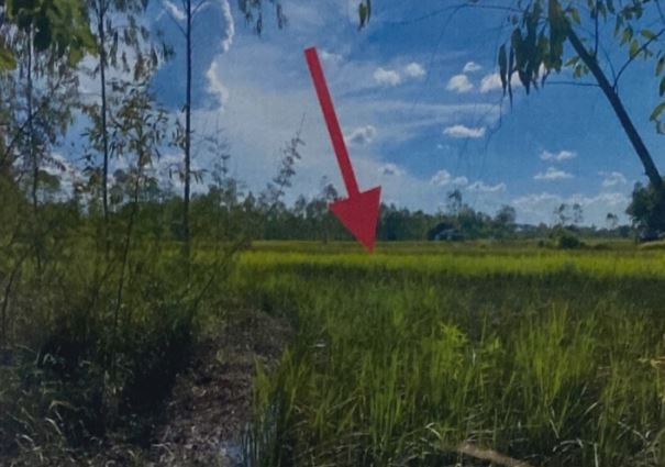 รูปที่ดินว่างเปล่า บ้านเชียง หนองหาน อุดรธานี