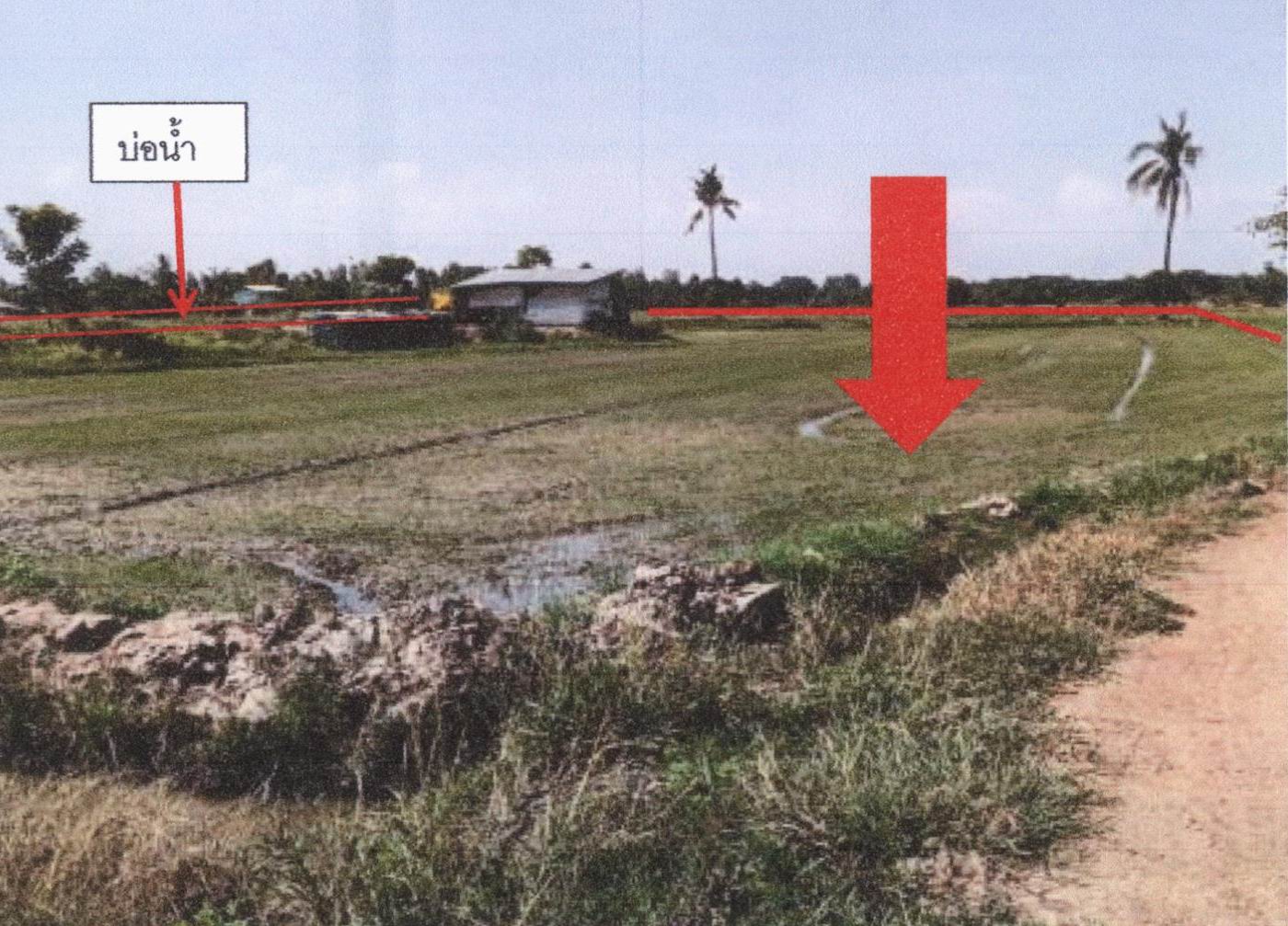 รูปที่ดินพร้อมสิ่งปลูกสร้าง พรหมพิราม พรหมพิราม พิษณุโลก