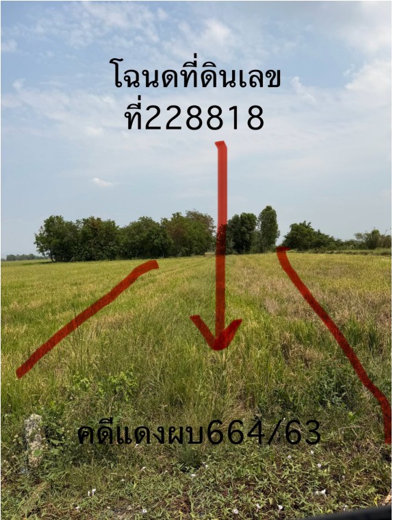 รูปที่ดินว่างเปล่า หัวรอ เมืองพิษณุโลก พิษณุโลก