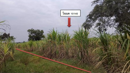รูปที่ดินว่างเปล่า สามขา กุฉินารายณ์ กาฬสินธุ์
