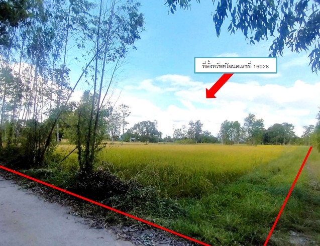 รูปที่ดินว่างเปล่า โนนกลาง สำโรง อุบลราชธานี