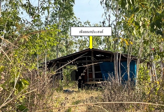 รูปที่ดินพร้อมสิ่งปลูกสร้าง บ้านโคก โคกโพธิ์ไชย ขอนแก่น