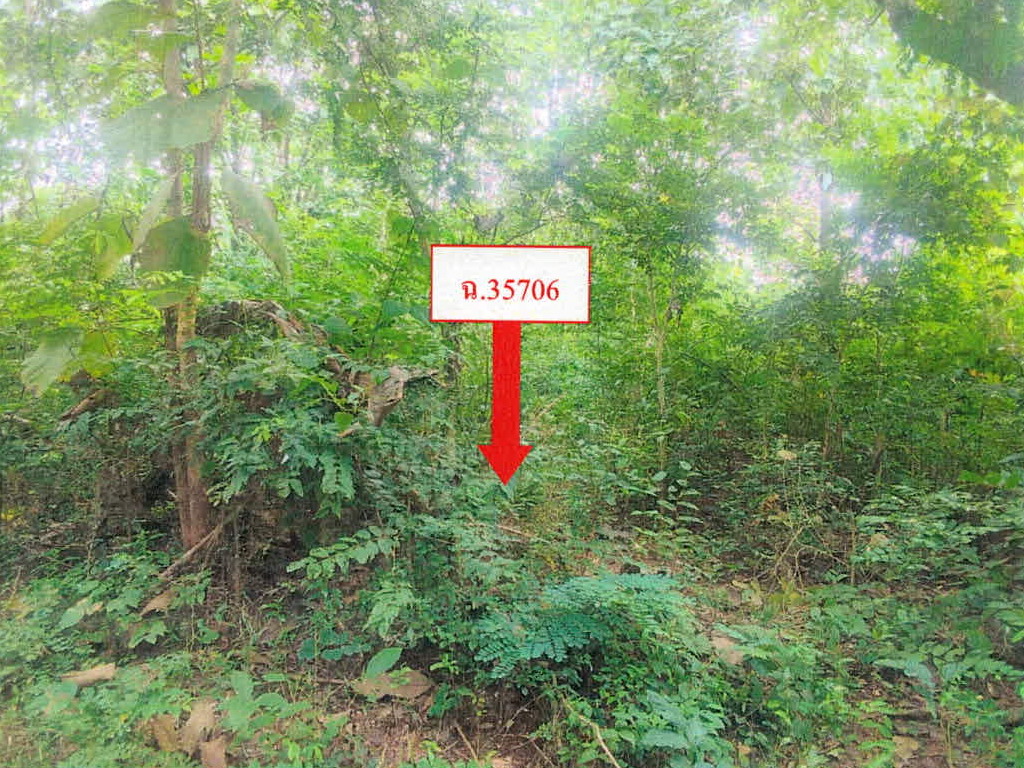รูปที่ดินว่างเปล่า นาแส่ง เกาะคา ลำปาง