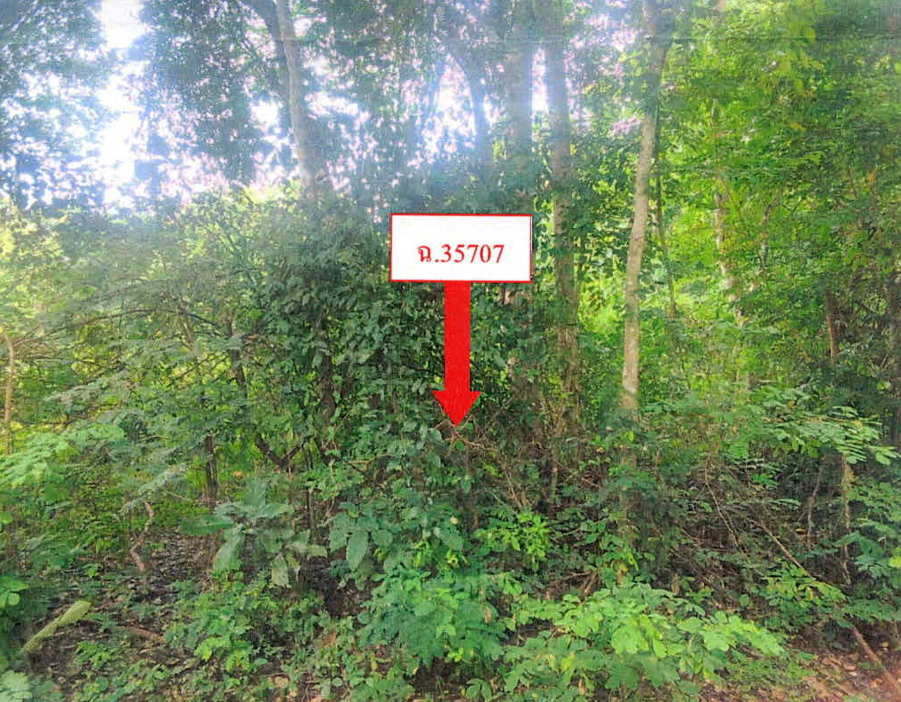 รูปที่ดินว่างเปล่า นาแส่ง เกาะคา ลำปาง