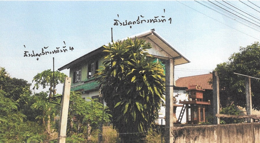 รูปที่ดินพร้อมสิ่งปลูกสร้าง ท่าทอง เมืองพิษณุโลก พิษณุโลก