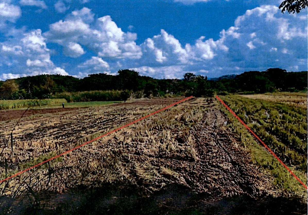 รูปที่ดินว่างเปล่า ร่องเคาะ วังเหนือ ลำปาง