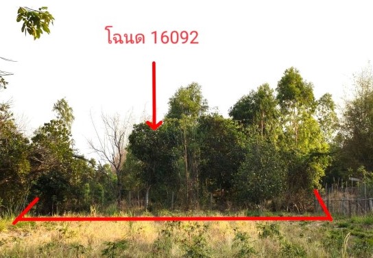 รูปที่ดินว่างเปล่า โพธิ์ทอง เสลภูมิ ร้อยเอ็ด