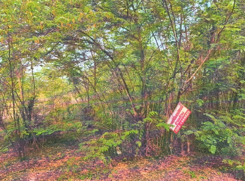 รูปที่ดินว่างเปล่า หนองเม็ก หนองหาน อุดรธานี