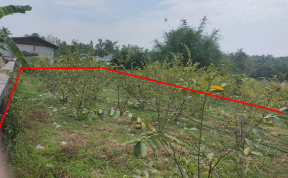 รูปที่ดินว่างเปล่า แม่คะ ฝาง เชียงใหม่