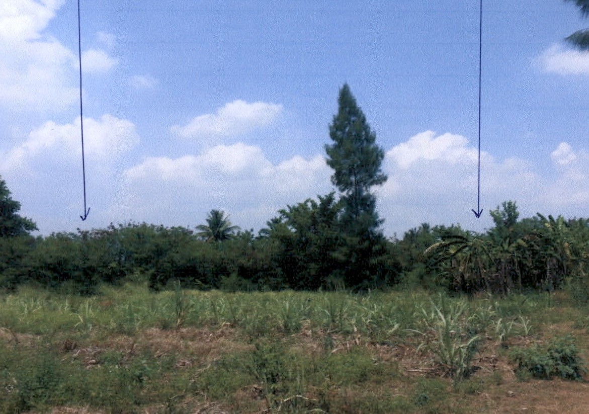 รูปที่ดินว่างเปล่า หนองตาแต้ม ปราณบุรี ประจวบคีรีขันธ์