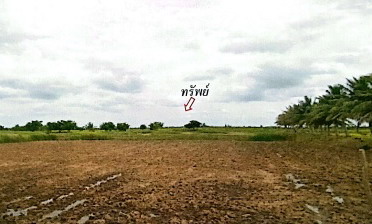 รูปที่ดินว่างเปล่า หนองบัว คง นครราชสีมา