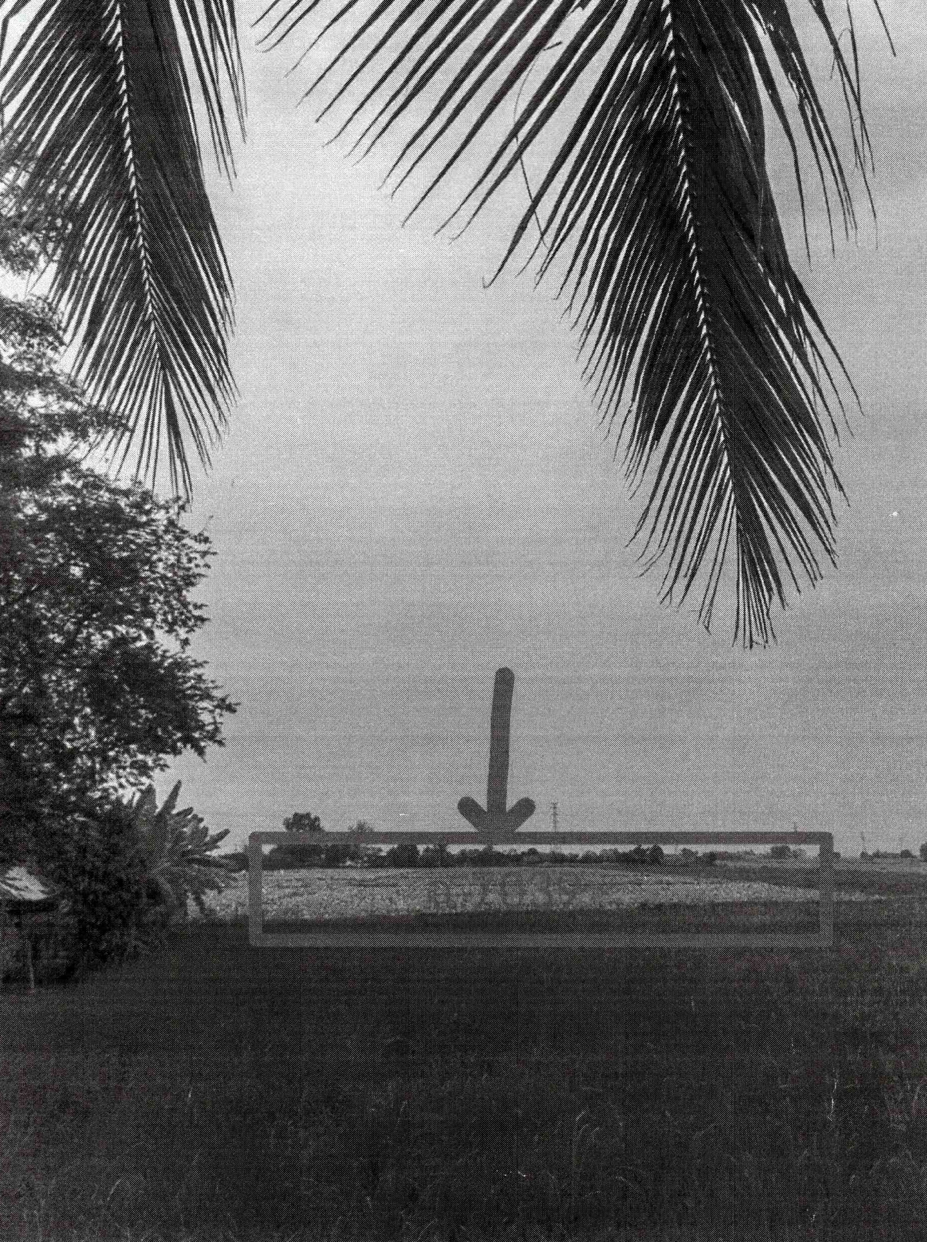 รูปที่ดินว่างเปล่า หนองบัว ศรีนคร สุโขทัย