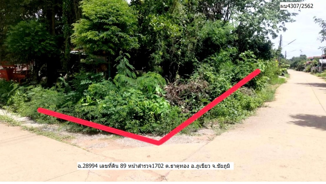 รูปที่ดินว่างเปล่า ธาตุทอง ภูเขียว ชัยภูมิ
