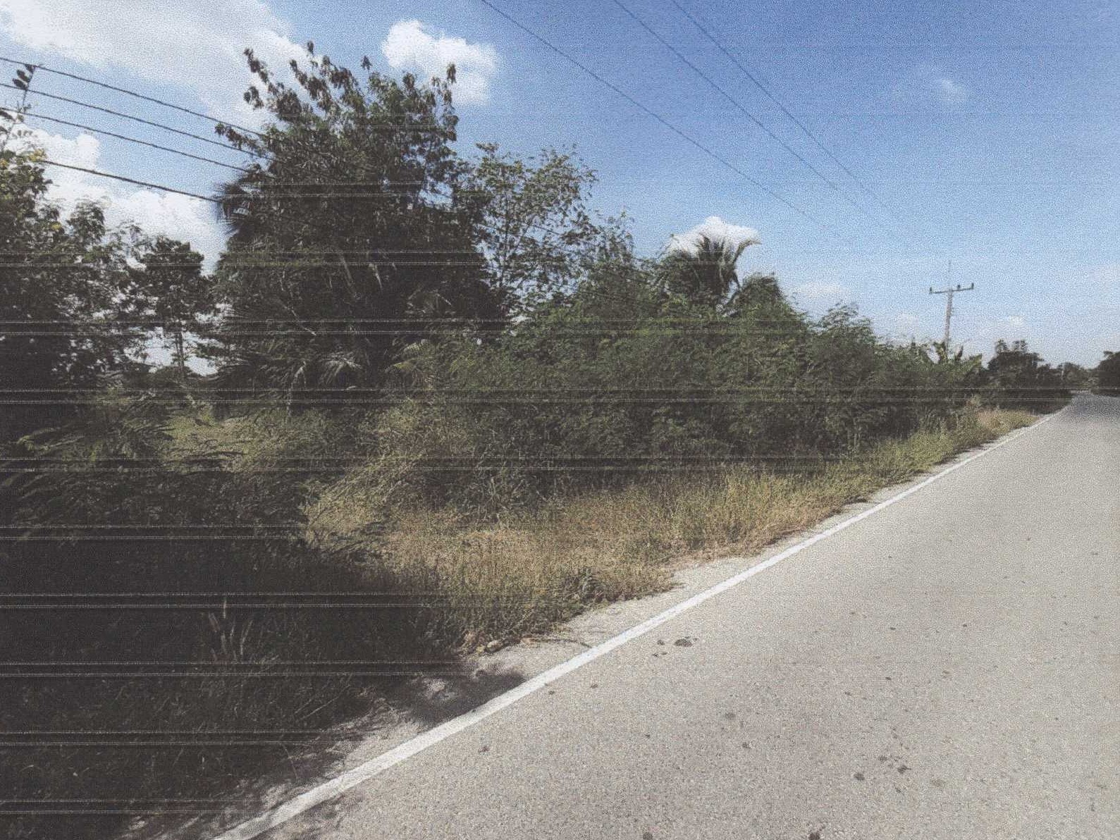 รูปที่ดินว่างเปล่า บ้านไร่ ลาดยาว นครสวรรค์