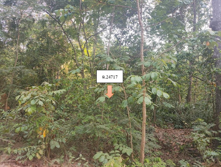 รูปที่ดินว่างเปล่า เสนางคนิคม เสนางคนิคม อำนาจเจริญ