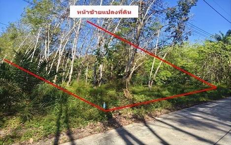 รูปที่ดินว่างเปล่า ตลาดไชยา ไชยา สุราษฎร์ธานี