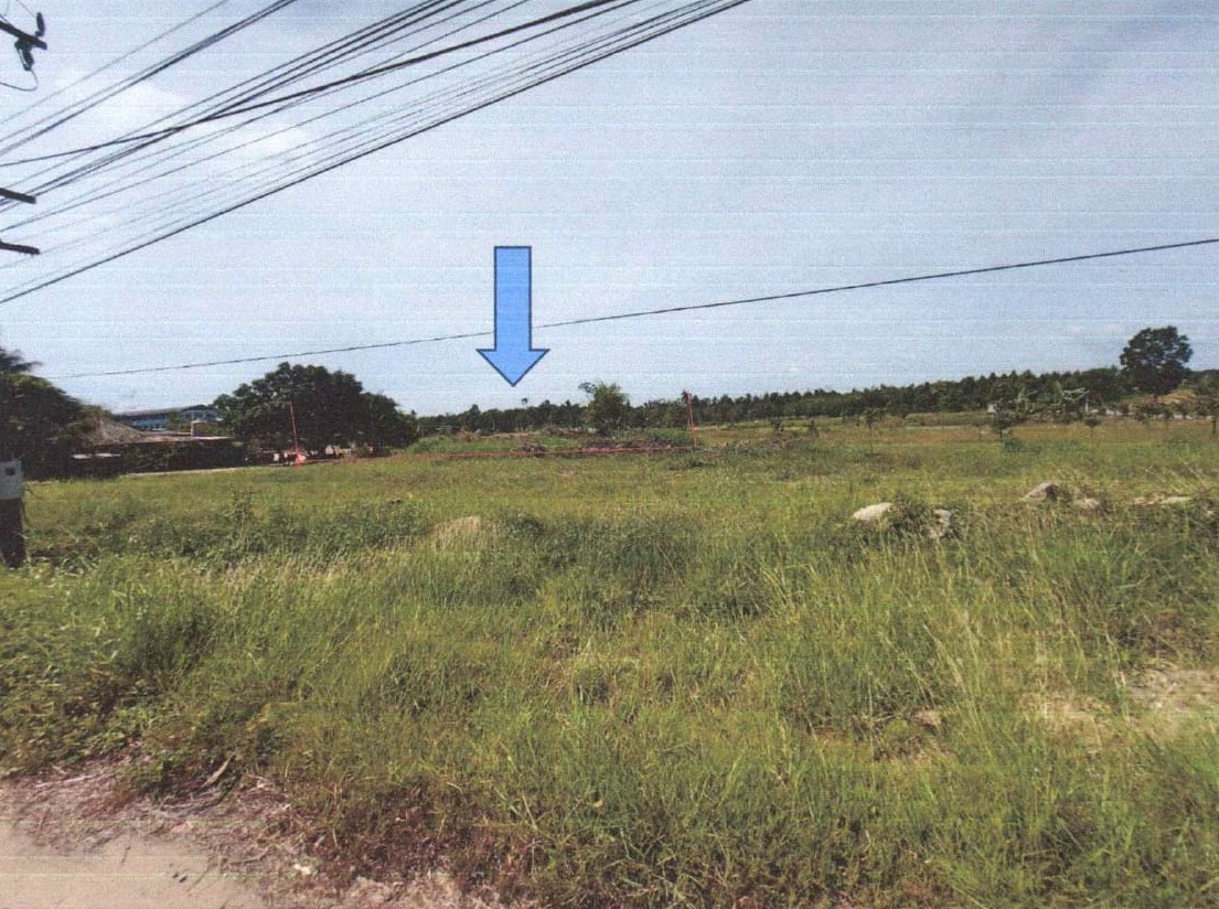 รูปที่ดินว่างเปล่า ปัถวี มะขาม จันทบุรี