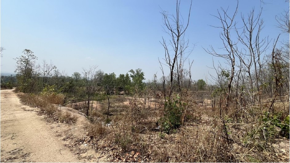 รูปที่ดินว่างเปล่า วังหิน เมืองตาก ตาก
