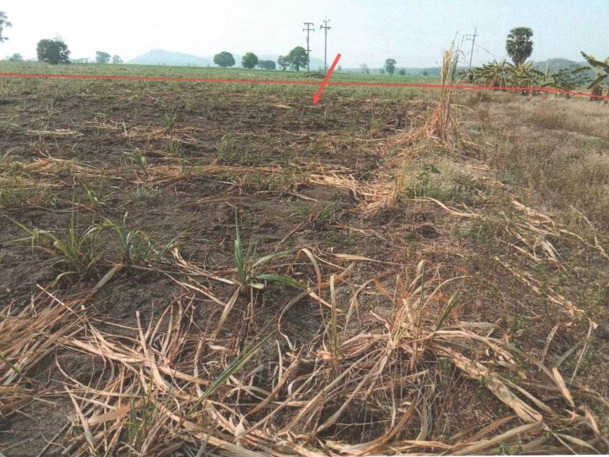 รูปที่ดินว่างเปล่า หนองจอก บ้านไร่ อุทัยธานี