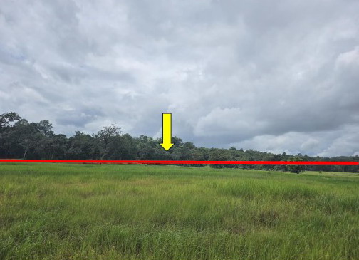 รูปที่ดินว่างเปล่า อาจสามารถ เมืองนครพนม นครพนม