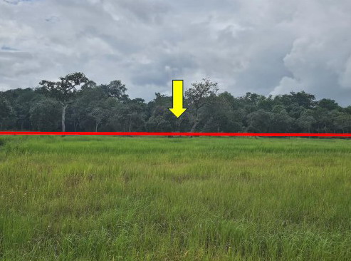 รูปที่ดินว่างเปล่า อาจสามารถ เมืองนครพนม นครพนม