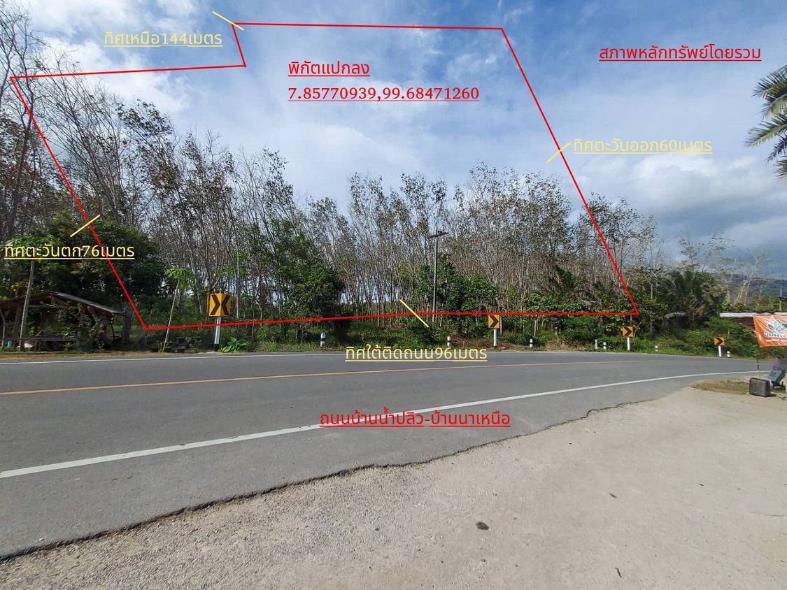 รูปที่ดินว่างเปล่า หนองปรือ รัษฎา ตรัง