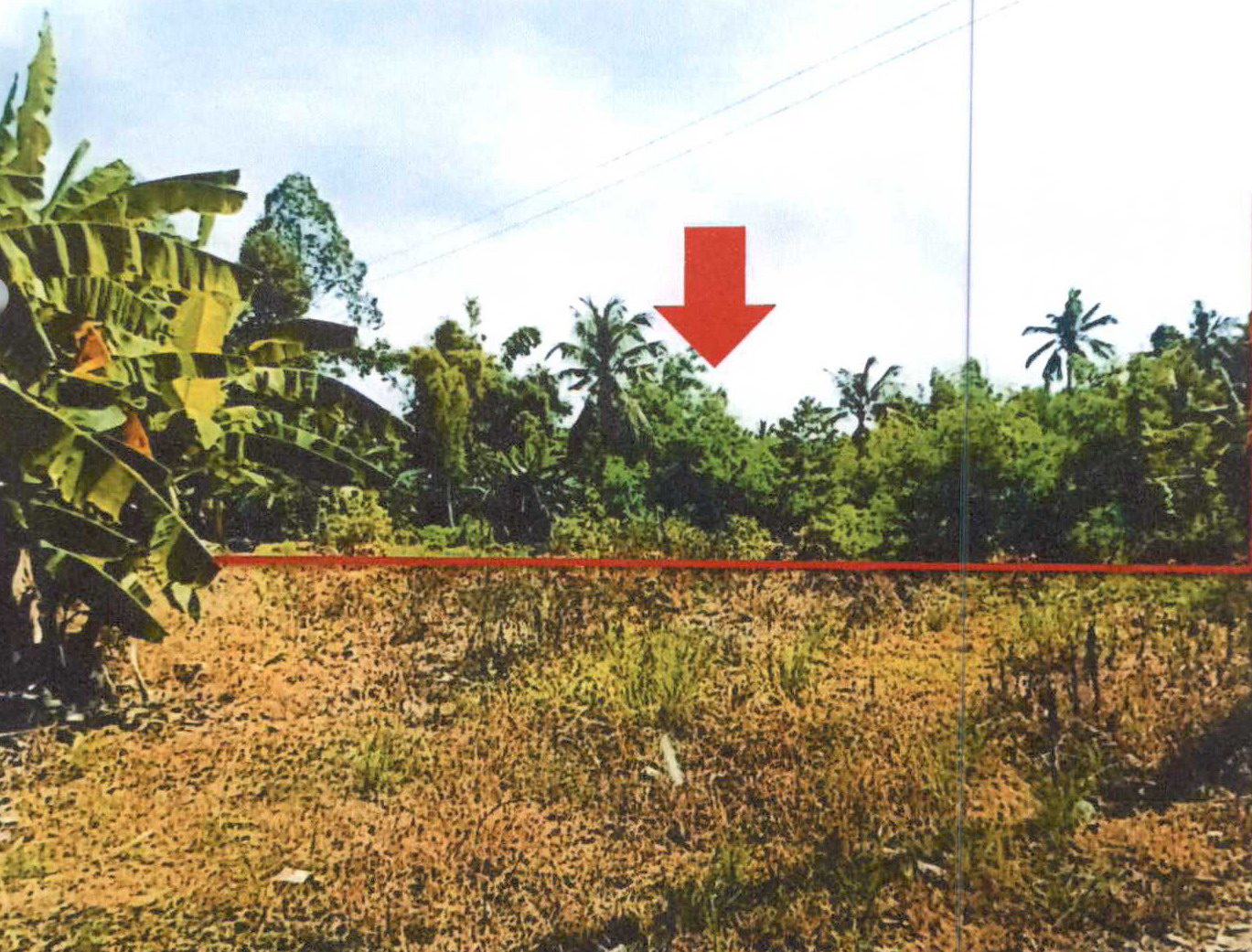 รูปที่ดินว่างเปล่า สำโรงใหม่ ละหานทราย บุรีรัมย์