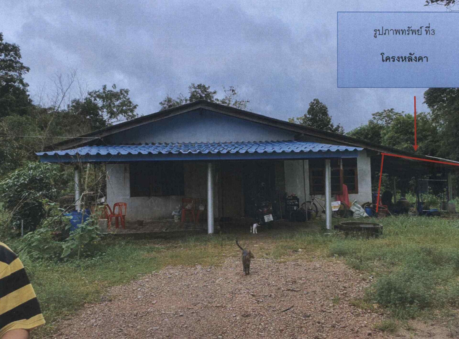 รูปที่ดินพร้อมสิ่งปลูกสร้าง หนองชิ่ม แหลมสิงห์ จันทบุรี