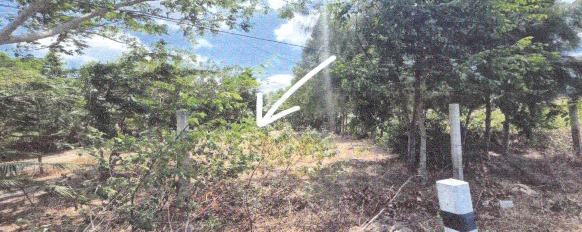 รูปที่ดินว่างเปล่า ตะโละกาโปร์ ยะหริ่ง ปัตตานี