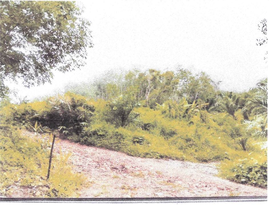 รูปที่ดินว่างเปล่า ตะกุกเหนือ วิภาวดี สุราษฎร์ธานี