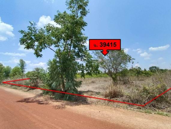 รูปที่ดินว่างเปล่า บ้านผือ โพนพิสัย หนองคาย