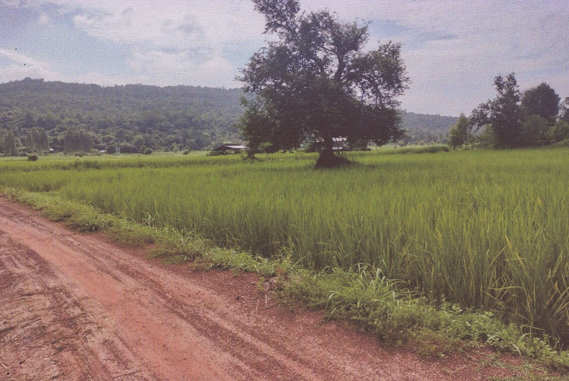 รูปที่ดินว่างเปล่า โนนยาง หนองสูง มุกดาหาร