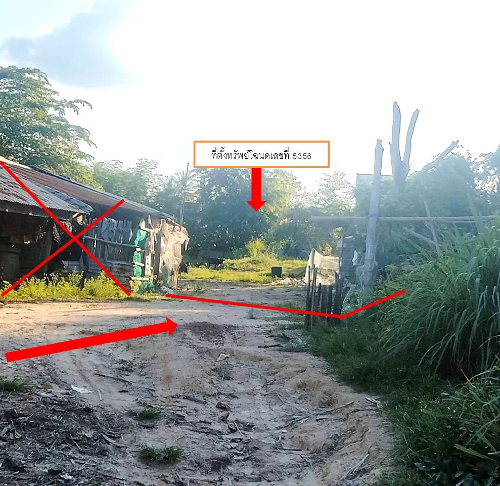 รูปที่ดินว่างเปล่า ป่าก่อ ชานุมาน อำนาจเจริญ