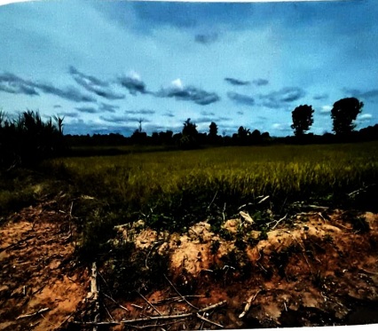 รูปที่ดินว่างเปล่า คอนฉิม แวงใหญ่ ขอนแก่น