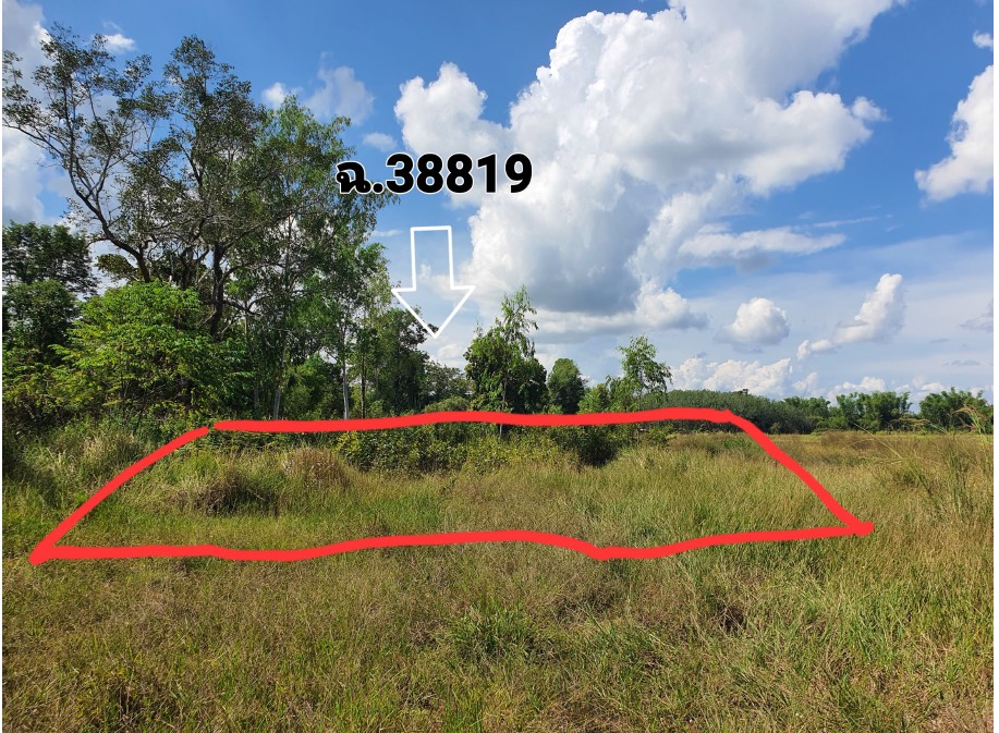 รูปที่ดินว่างเปล่า ชัยพร เมืองบึงกาฬ บึงกาฬ