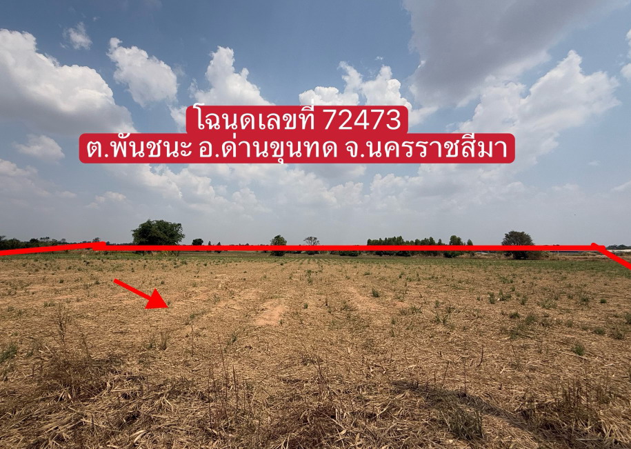 รูปที่ดินว่างเปล่า พันชนะ ด่านขุนทด นครราชสีมา